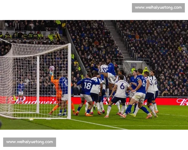 半场:范德芬双响破僵 热刺 2-0 埃弗顿,奥布赖恩进球遭吹