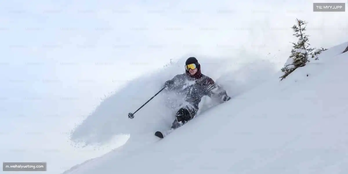 为什么选择我们